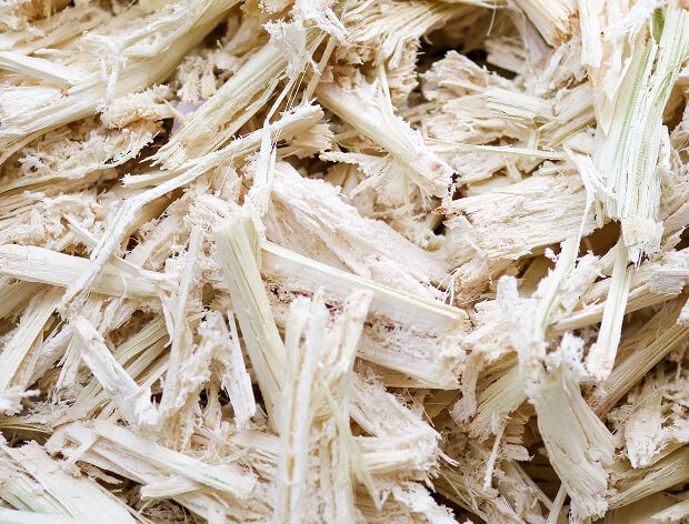 Food-materials-img-01