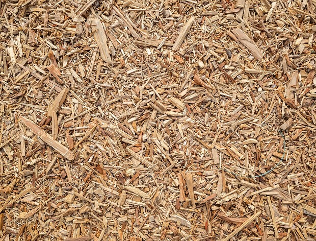 Food-materials-img-03