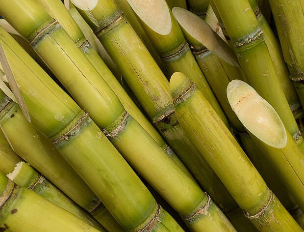Food-materials-img-04